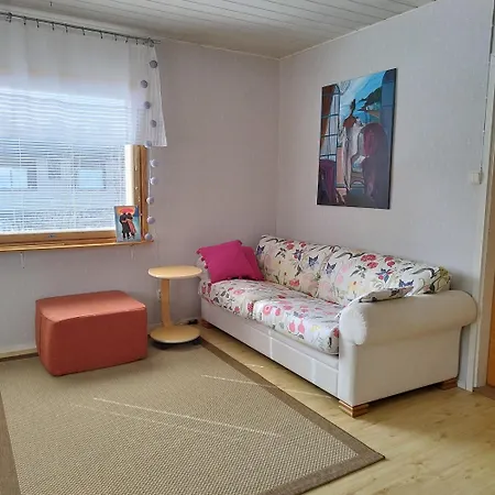 Nordic Artist House & With Wooden Sauna 木屋 黑诺拉