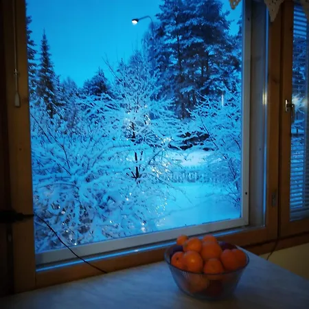 Nordic Artist House & With Wooden Sauna Lomamökit Heinola
